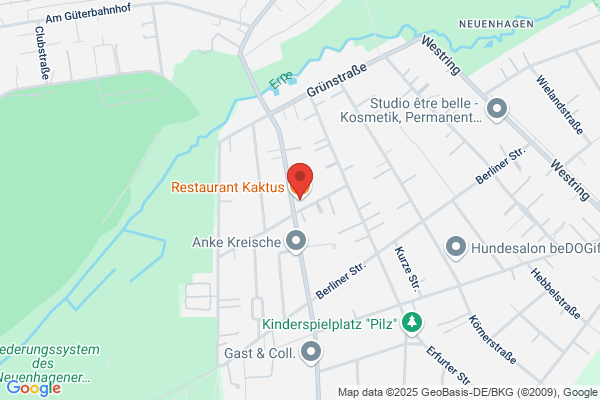 Kaktus
