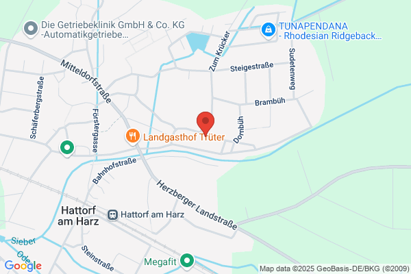 fewos-im-harz.de