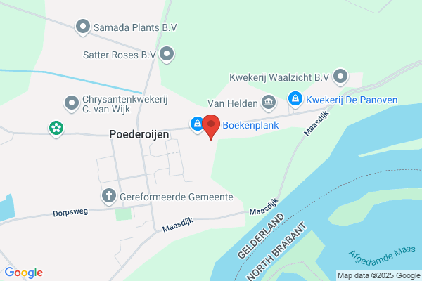 Auto Havo
