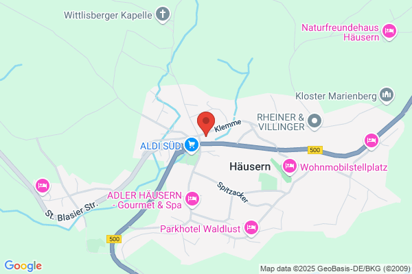 Pizza Blitz Heimservice