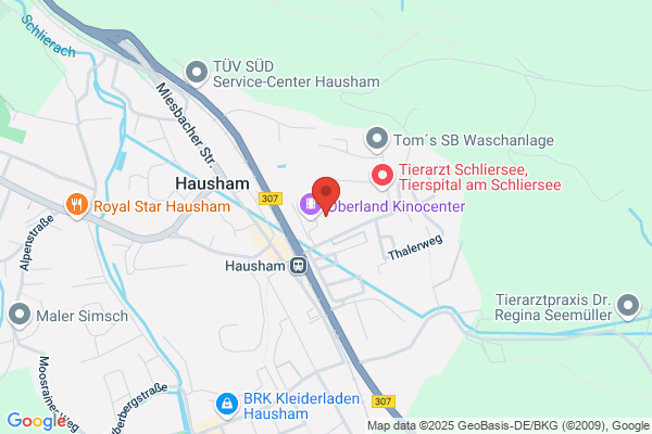TAE KWON Do u. ALLKAMPF / JITSU-SCHULE