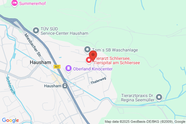 Freiwillige Feuerwehr Hausham