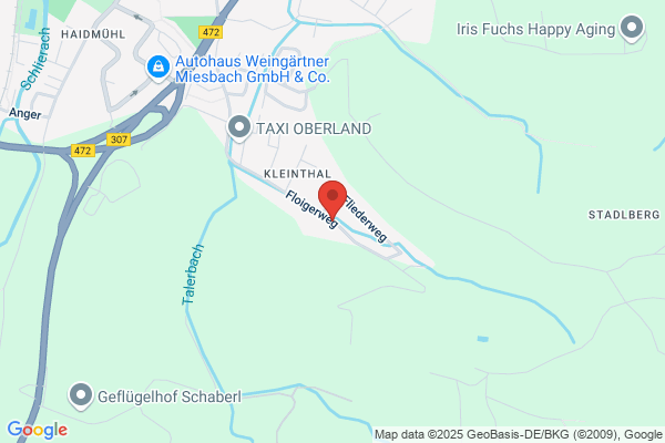 Dipl.-Ing.(FH) Reinhard Megele