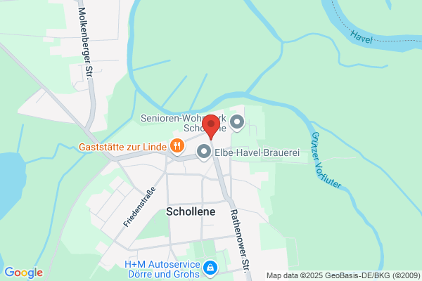 Schollene