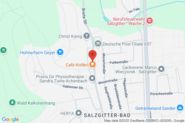Salzgitter-Car