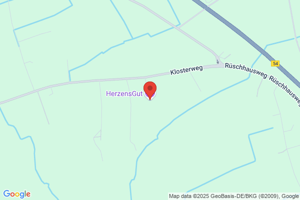 Alpaka Abenteuer