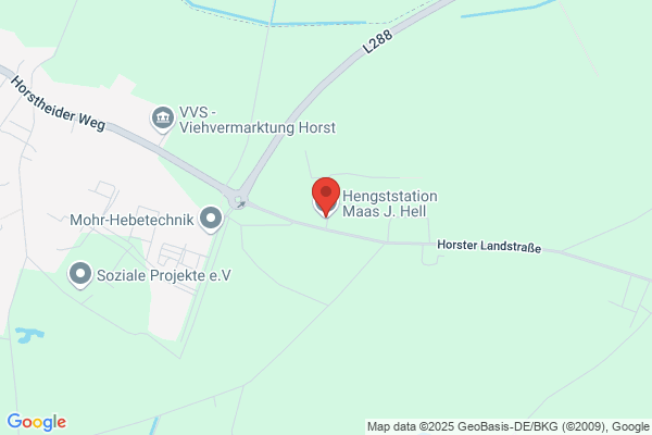 Hengststation Bodethal Lutz Mey