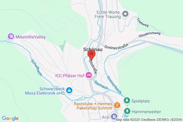 Musikschule Schönau gem.GmbH