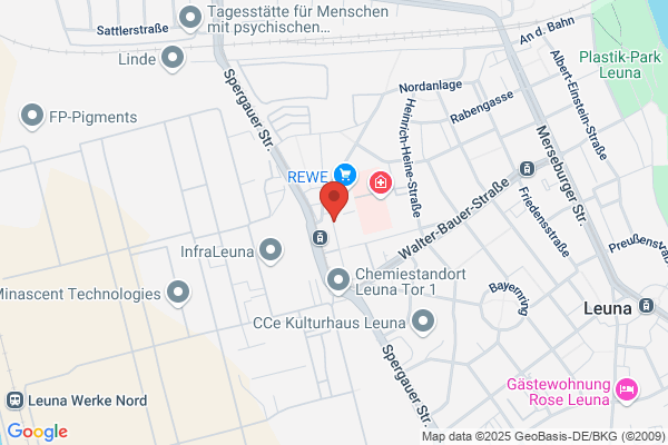 N & P Industrieal Services Leuna GmbH