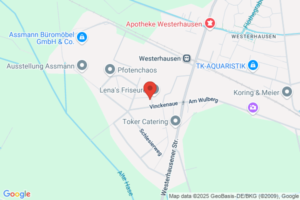 Falkenstein Immobilien