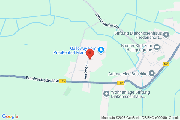 BLUMAG Techn. u. Dienstleistungs GmbH