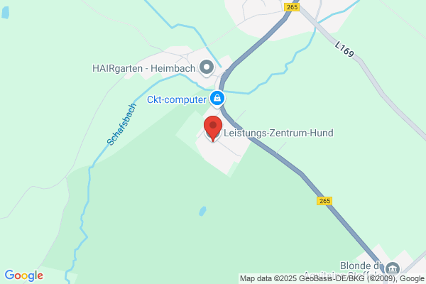 Leistungs-Zentrum-Hund