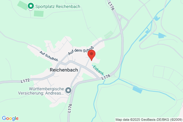 Evangelische Kirchengemeinde Reichenbach