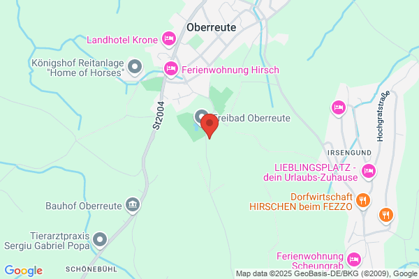 Ski-Snowboard-u. Schwimmschule Schwendinger