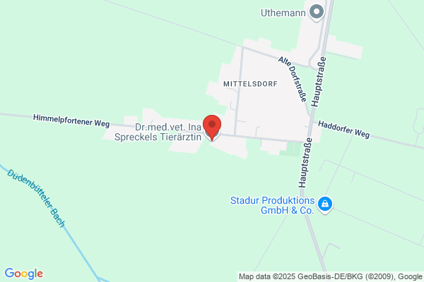 Dr.med.vet. Ina Spreckels Tierärztin