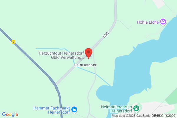 Tierzuchtgut Heinersdorf GbR, Verwaltung Zijlstra F. und K.