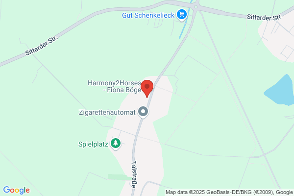 Bauunternehmung Speis GmbH & Co. KG