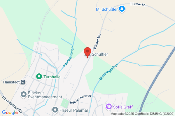 Schüssler