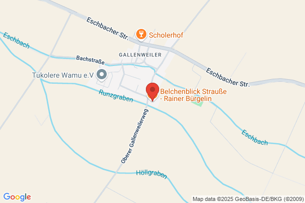Rainer Bürgelin, Rainer Bürgelin