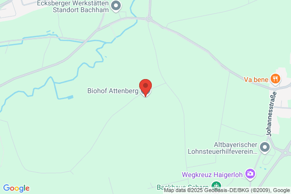Hildegard Bauer