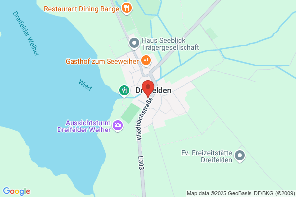 Network Services and Support Markus Mengen