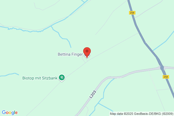 Bettina Finger