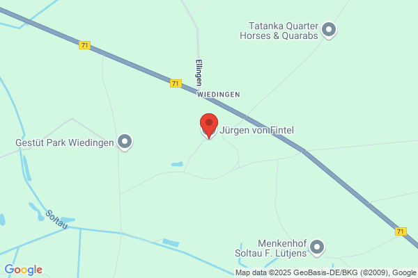 Dipl.-Ing. Rüdiger Fintel