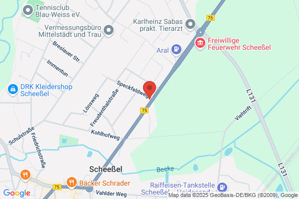DS Immobilien
