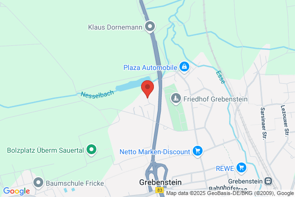 Grebenstein, Frank