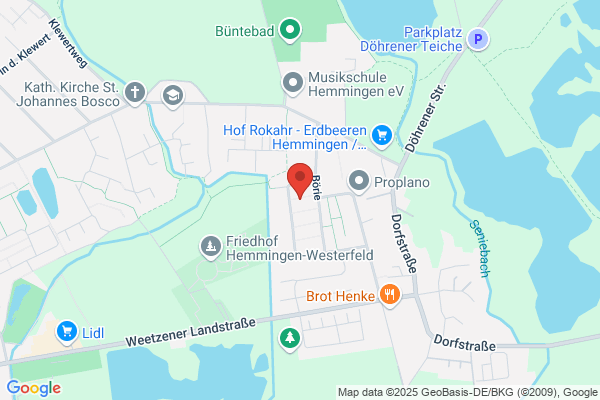 Luxushundeliegen