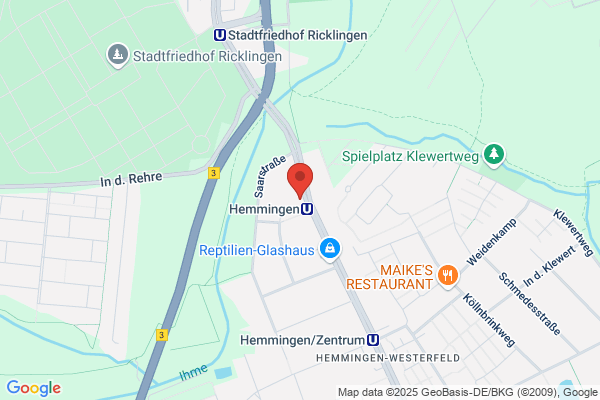 Fernseh-Schwager