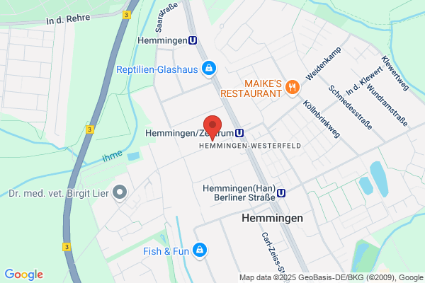 Brosinger Consult