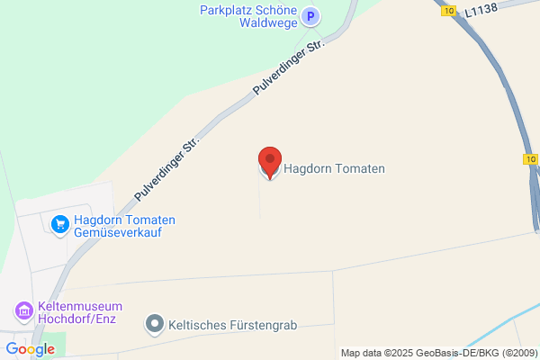 Hagedorn