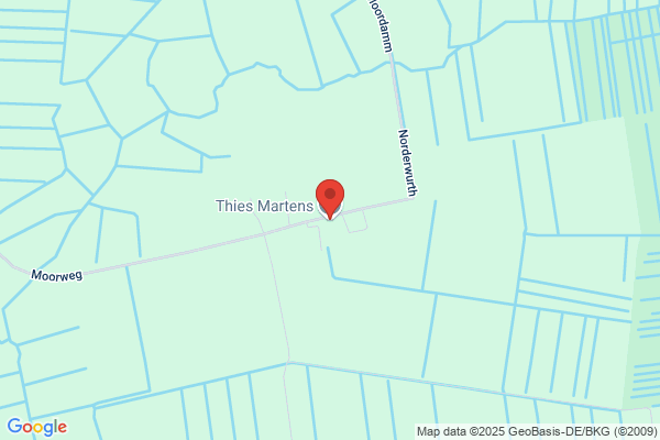 Thies Martens
