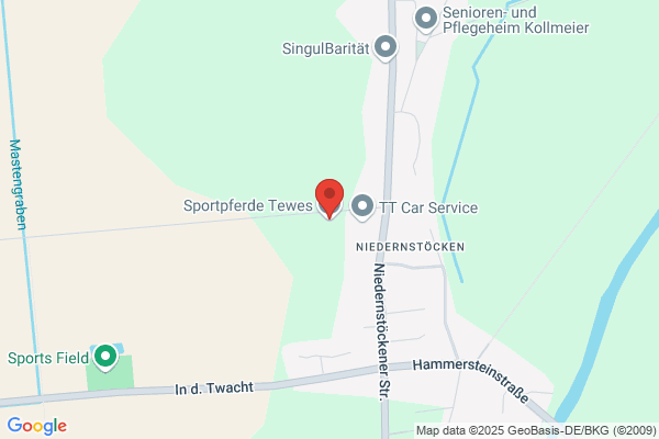 Tewes Heiner Pferdebetrieb