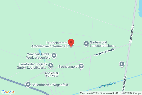 Hundeinternat Antonienwald