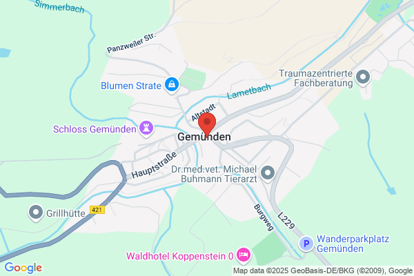 Hotel Gemündener Hof