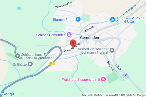 Geminner Fleckestritzer