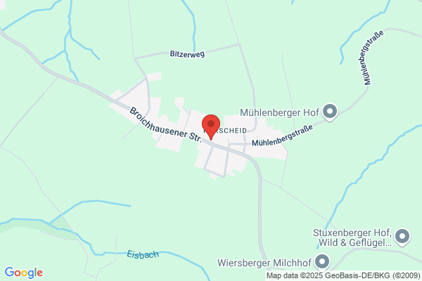 Anhänger Kostner