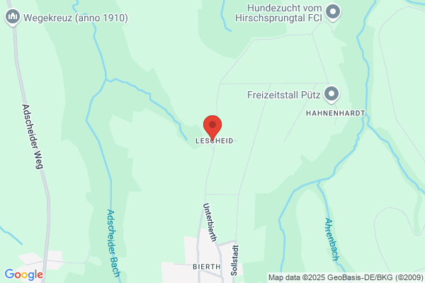 Brandschutz Bois