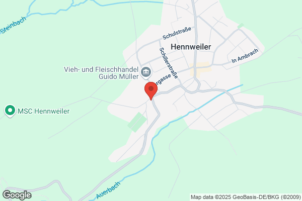 Hans Hermann Hub