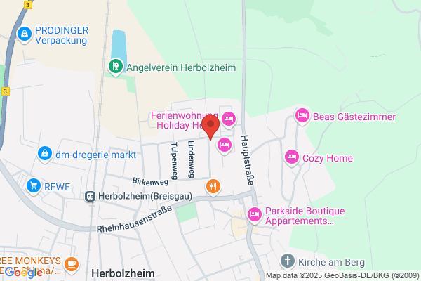 Altus Bauunternehmung GmbH