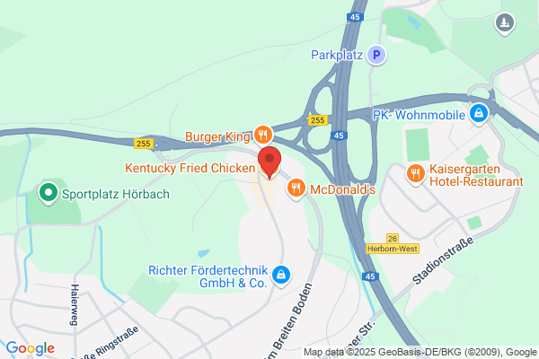 Kentucky Fried Chicken