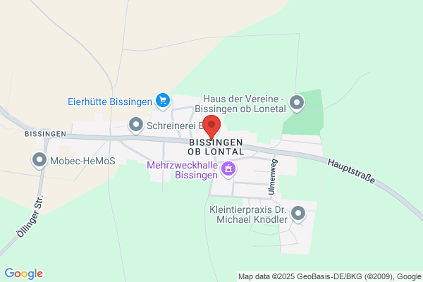 Evangelische Martinskirche - Evangelische Kirchengemeinde Bissingen-Hausen