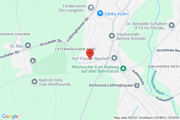 Altbausanierung Dortmund