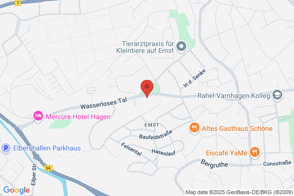 Flughafen Transfer Engels GmbH & Co. KG