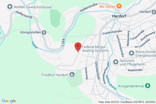 Federal-Mogul Sealing Systems GmbH
