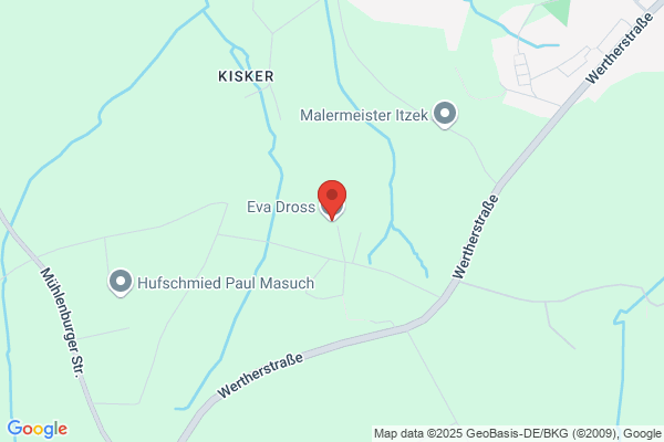 Ammena, Bauchtanz