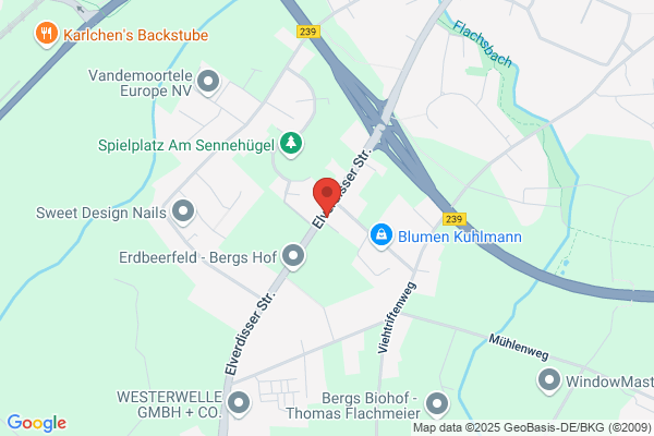 JGA Planer Junggesellenabschied