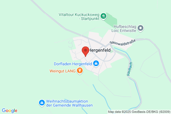 Alois Memmesheimer